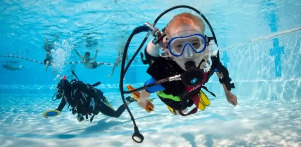 A Trip in the Red Sea by a Bottom Glass Boat in Sharm el Sheikh